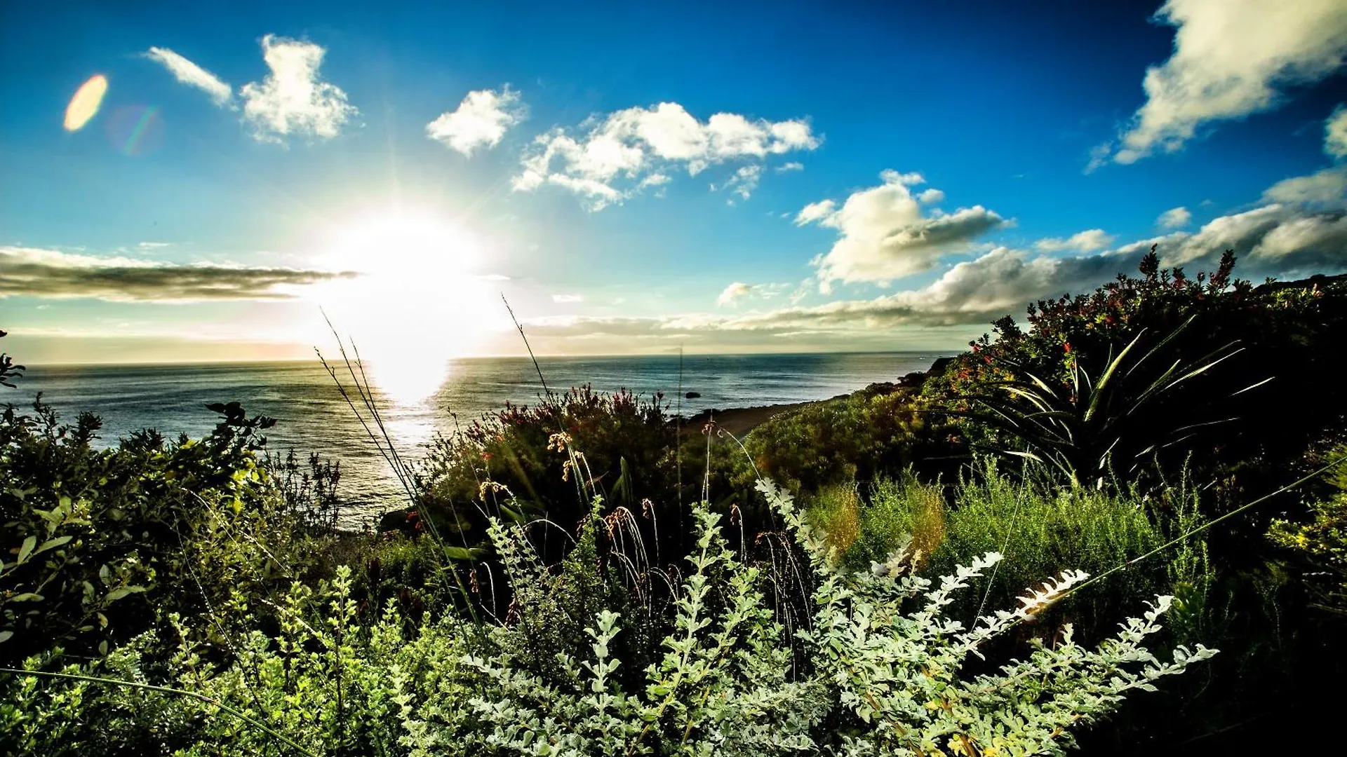 Rocklands Seaside Bed And Breakfast Simonʼs Town 3*,  Afrique du Sud