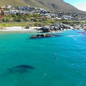 Apartment Rock, Simon's Town